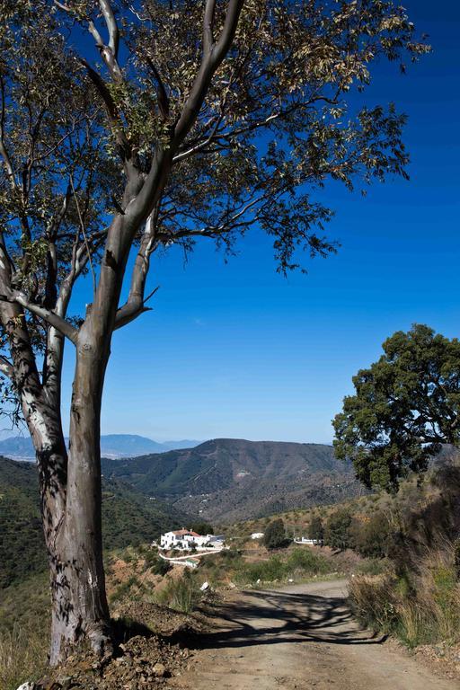 Гостевой дом Cortijo Juan Salvador Олиас Экстерьер фото
