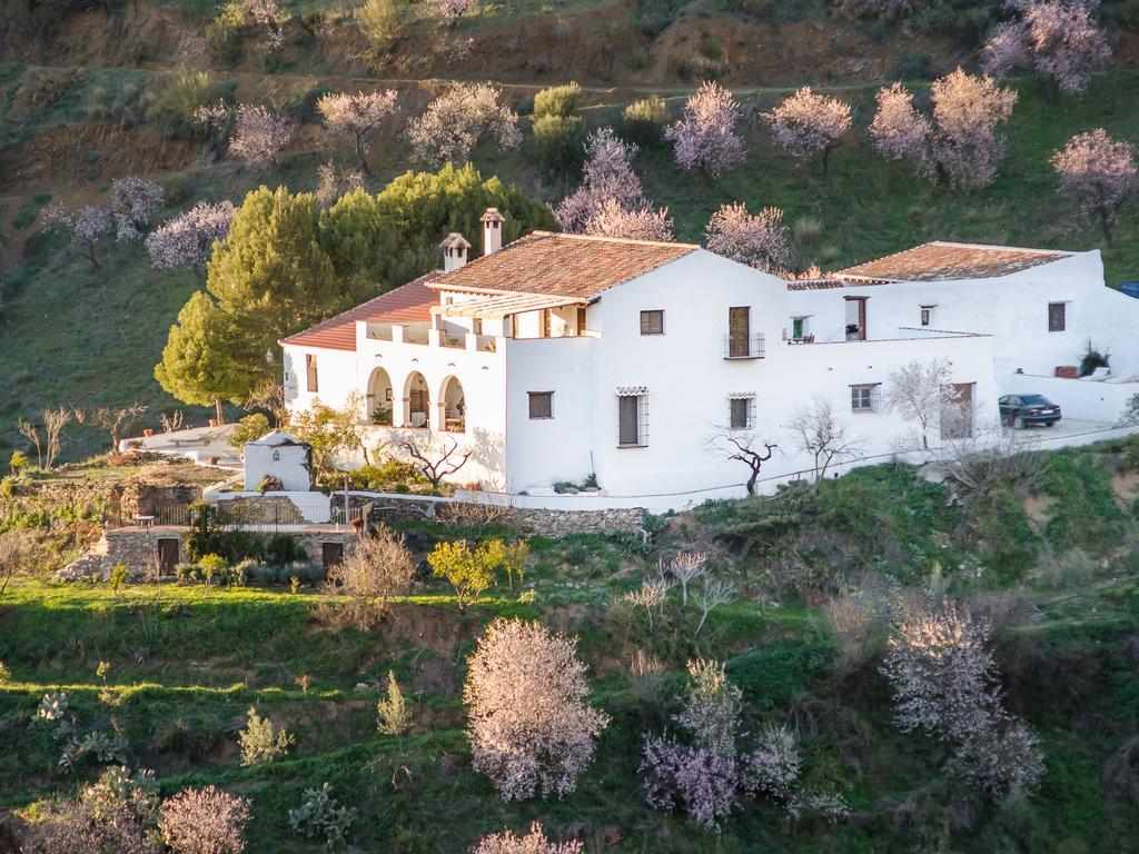 Гостевой дом Cortijo Juan Salvador Олиас Экстерьер фото