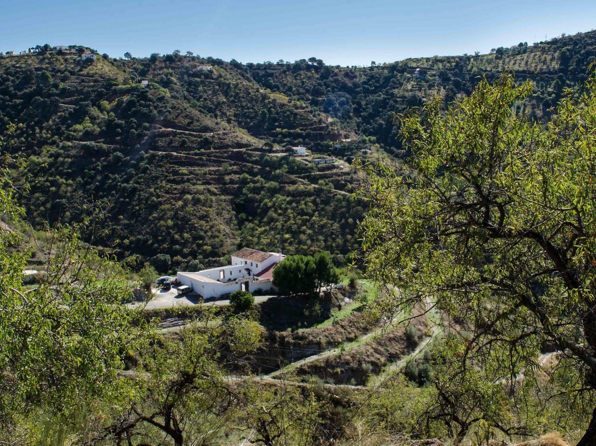 Гостевой дом Cortijo Juan Salvador Олиас Экстерьер фото
