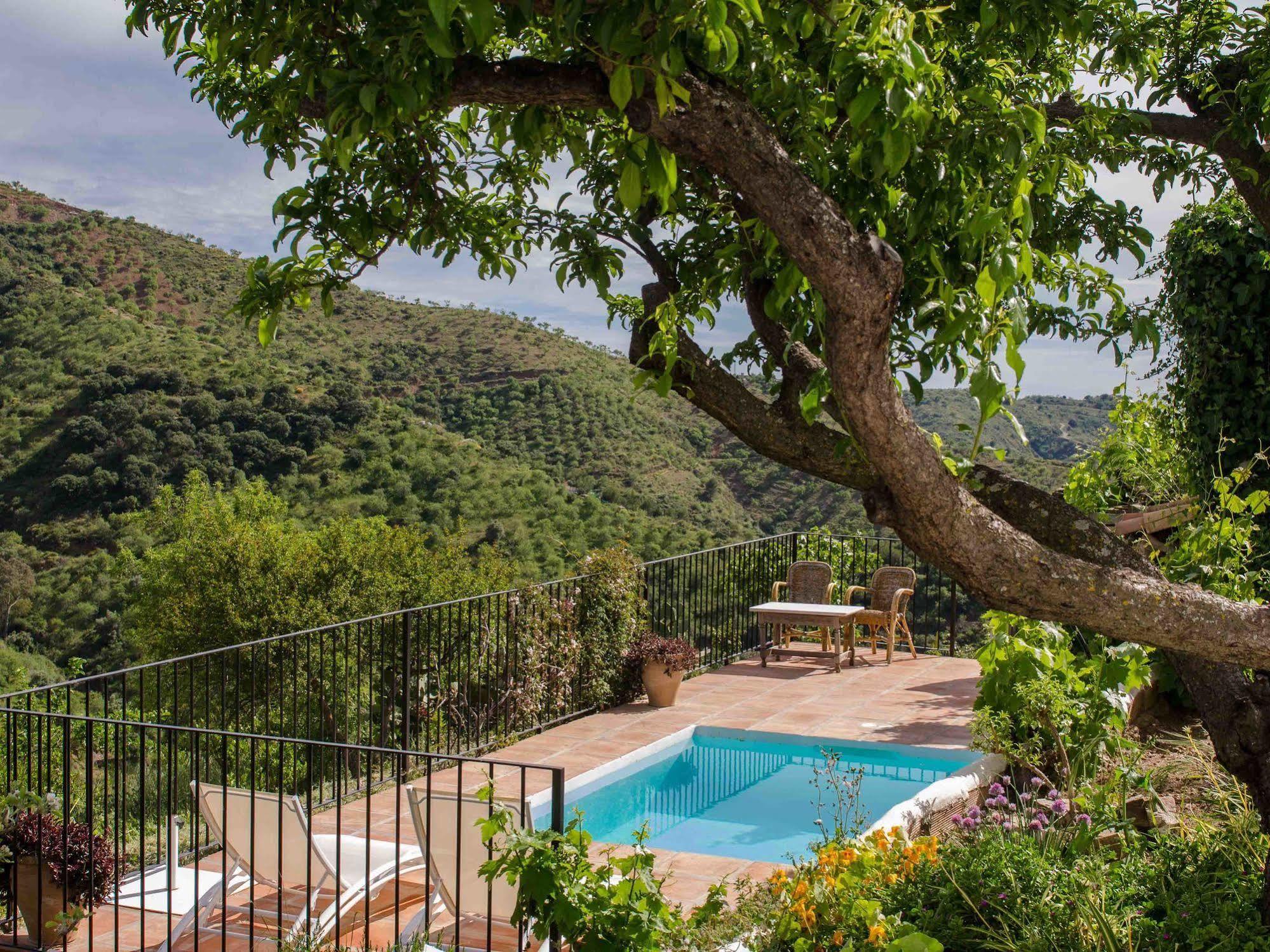 Гостевой дом Cortijo Juan Salvador Олиас Экстерьер фото